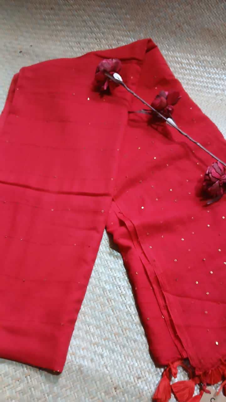 RED SEQUIN WORK SAREE